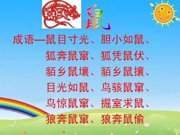 鼠目寸光打一生肖、一场误导解释的落实与反思