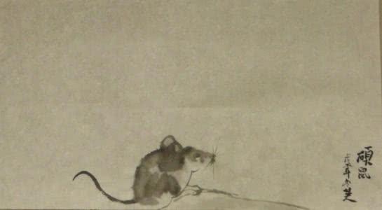 咬牙切齿打一生肖，网络解释的落实与文化现象的探讨