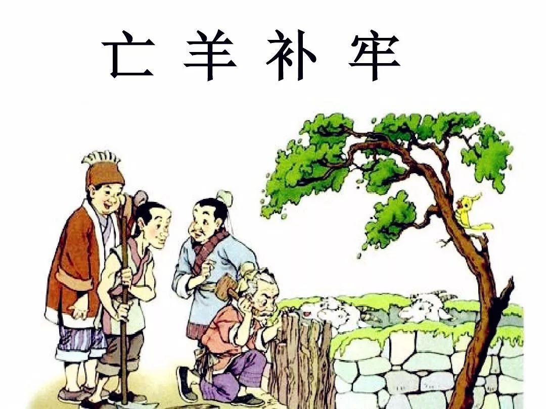 亡羊补牢与生肖之谜，热议、解释与落实的智慧