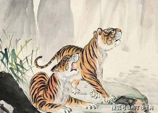 川流不息打一生肖、绝佳解释落实