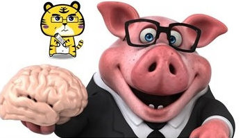 猪头猪脑打一生肖、一场误导解释的落实与反思