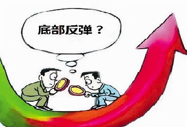 贼走关门打一正确生肖、佩服作答落实解释