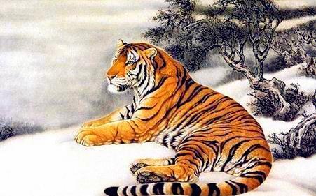 虎落平阳，不安分之选的寓言与生肖启示