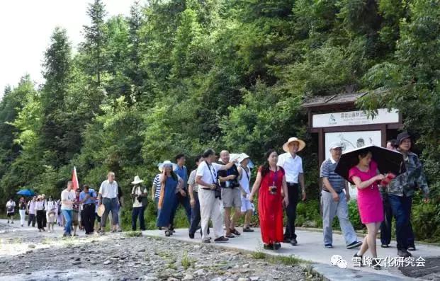 五花八门打一生肖、奥秘解释落实