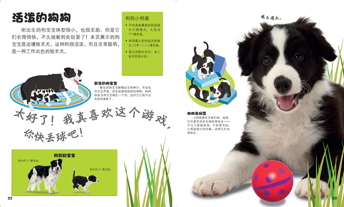 栩栩如生，揭秘打一生肖的奇妙谜题与佩服的解答