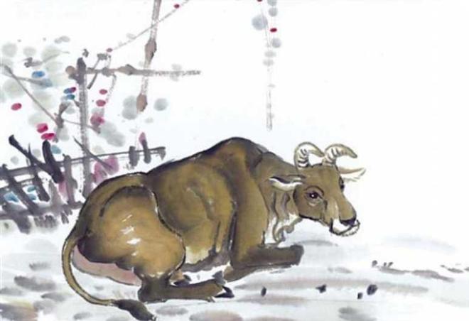 欲钱看书香门第打一生肖、正确解释与落实