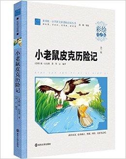 书香门第与智慧之光，深度解析生肖中的智慧之鼠