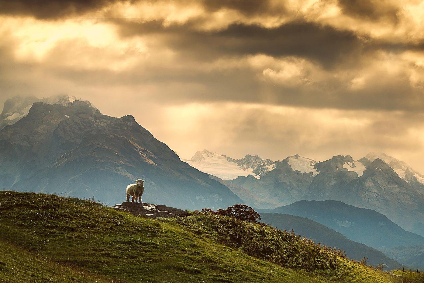 逢打一生肖、神秘解释落实