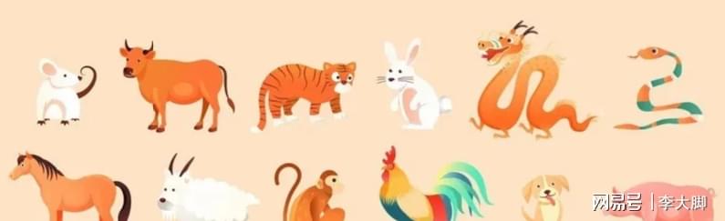 五光十色背后的生肖谜题，正确解释与落实