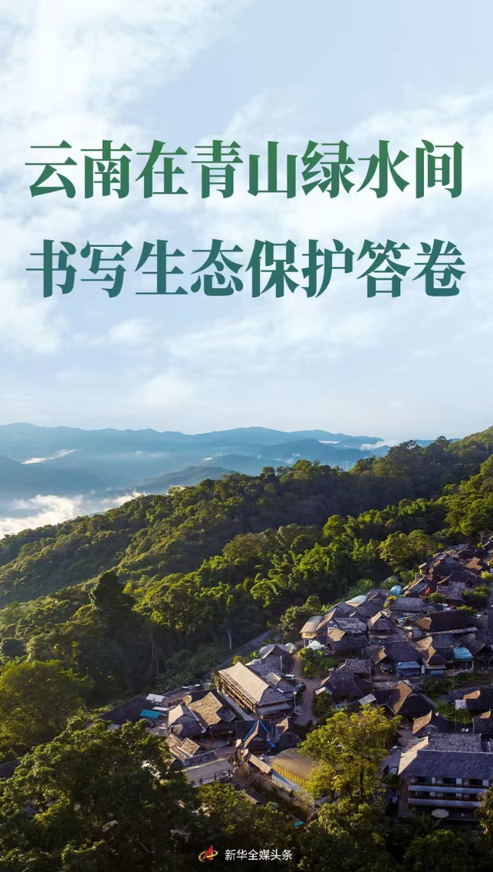 青山绿水打一生肖、的动物智慧与战略运用