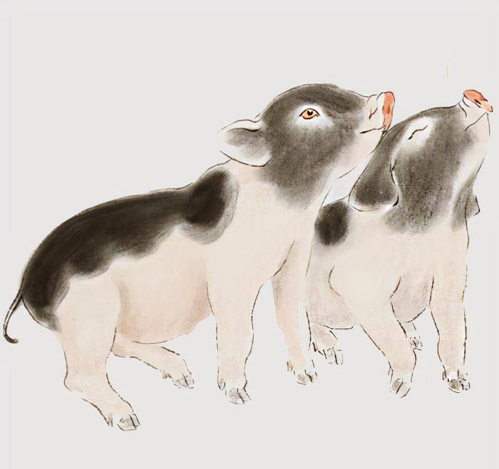 猪狗不如打一生肖、一场误导解释的落实与反思