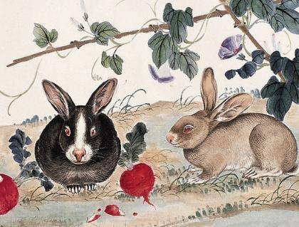 揭秘小巧玲珑背后的生肖奥秘，兔子的独特魅力与文化解释