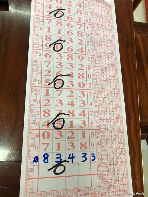 七星伴月打一生肖、发现作答落实解释