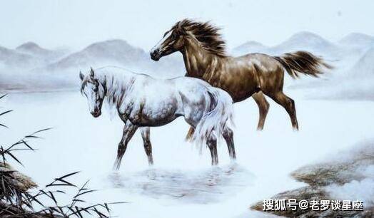 神仙是特马打一生肖，友爱作答与文化解读