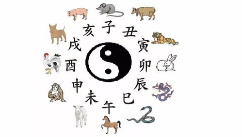 察言观色，生肖背后的文化智慧与人生哲学