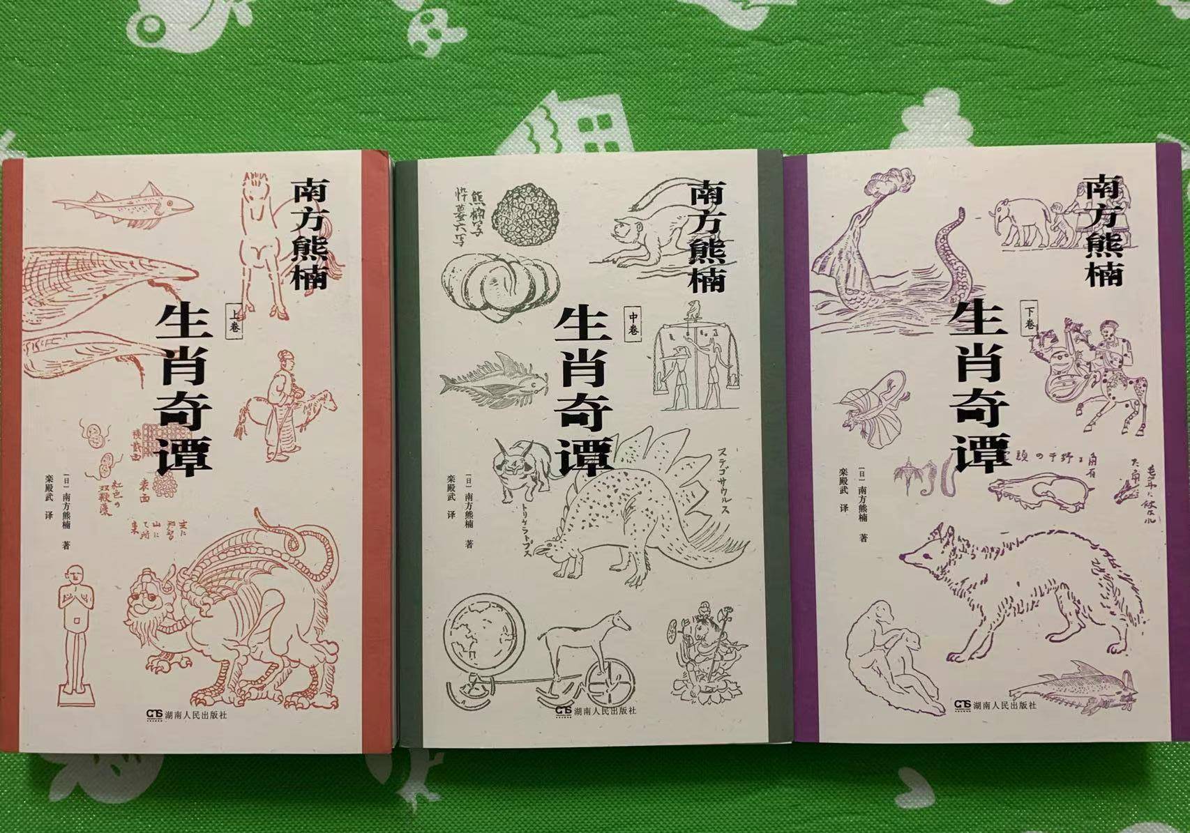 百花齐放映春光—生肖之谜与新型作答的智慧