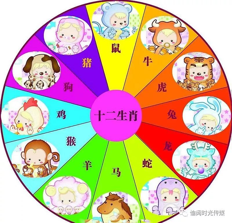 风和日丽中的生肖智慧—以选择与落实为线索的探索