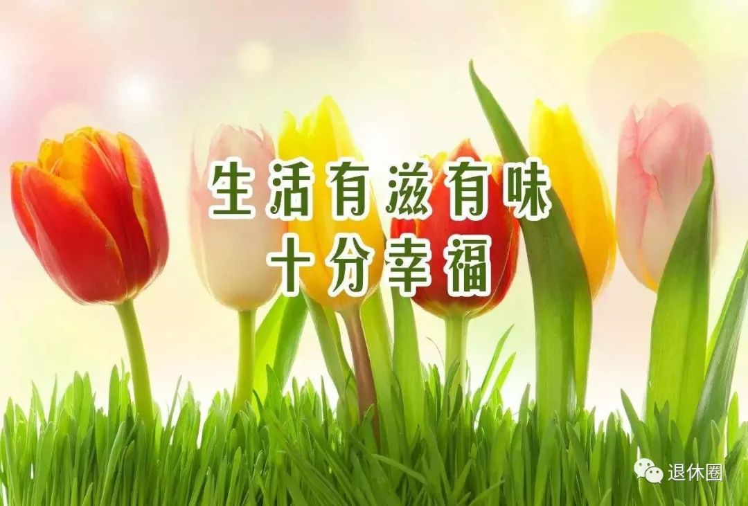 十全十美打一生肖、绝佳解释落实