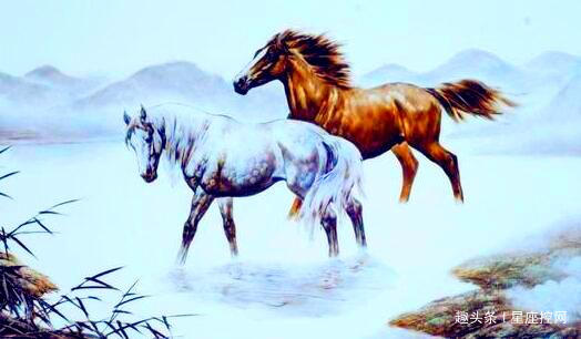 马到成功打一最佳生肖、绝佳解释落实