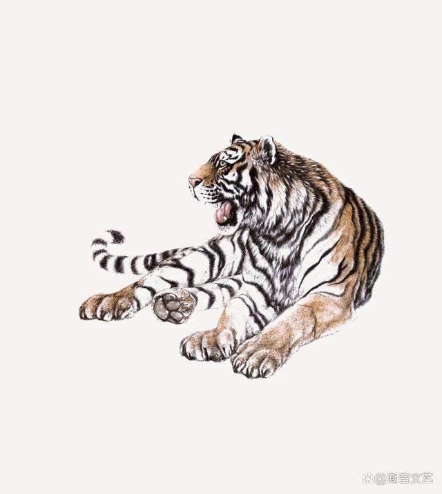 画虎画皮难画骨，生肖之谜的最新解释与落实