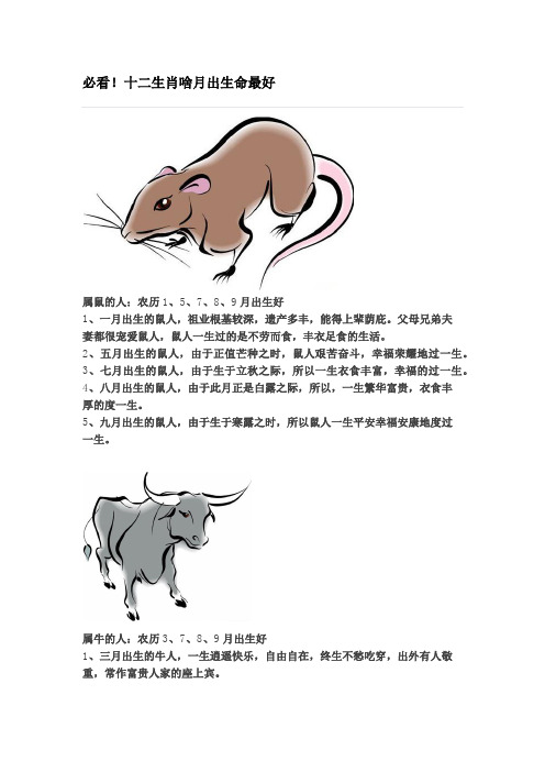 鼠入牛角打一生肖，谜团与智慧的碰撞