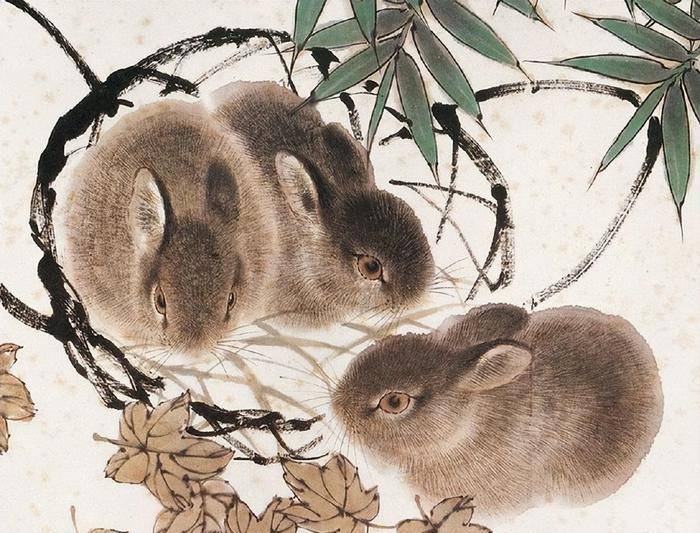 家打一生肖，兔—寓言中的生活哲理