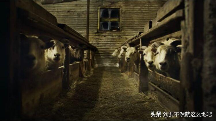 挂羊头卖狗肉的生肖寓言，从误解到积极转变的启示