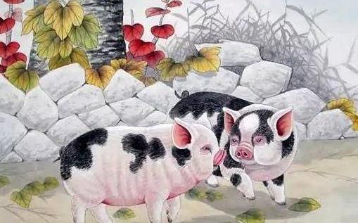 财打一生肖、理想作答落实解释