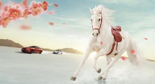 车如流水马如龙—生肖之谜的深度解析与落实