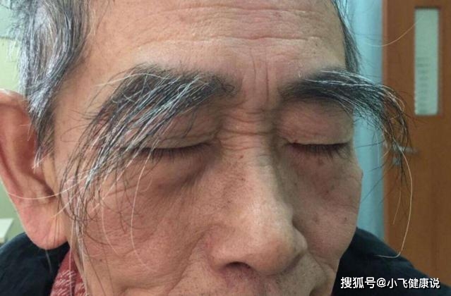 火打一生肖、通常解释落实