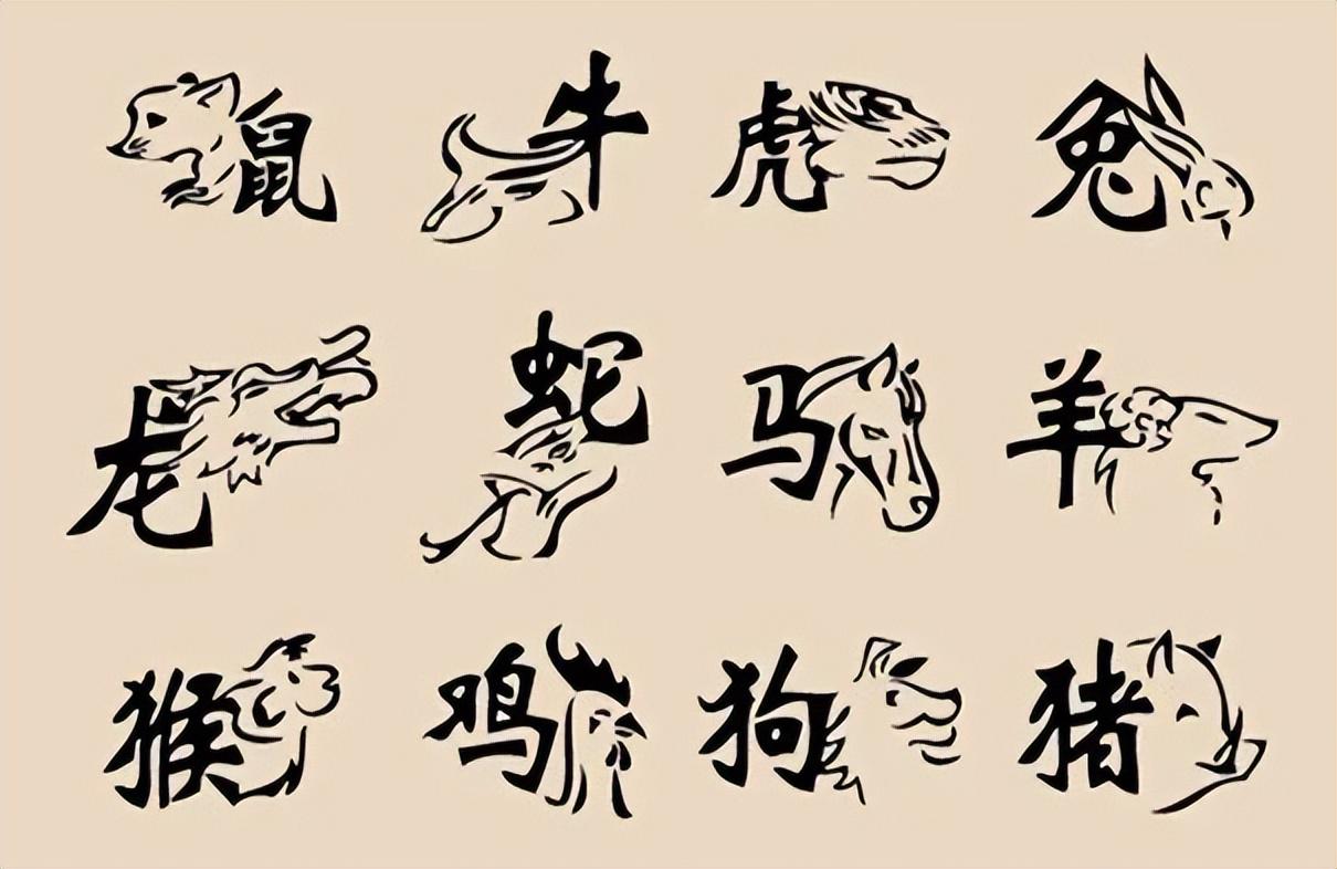 前字打一生肖、深度解析与落实