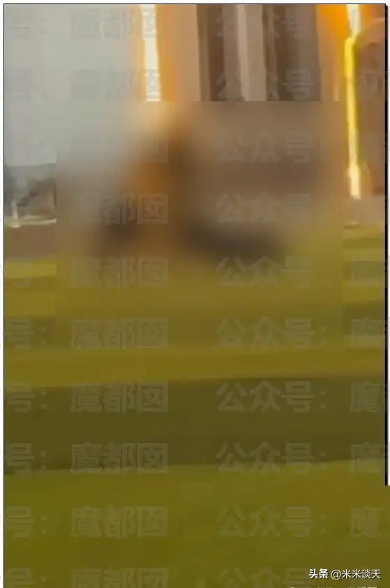 今期生肖十一头打一生肖、一场误导解释的落实与反思