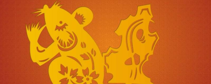 鼠目寸光打一个生肖、绝佳作答落实解释