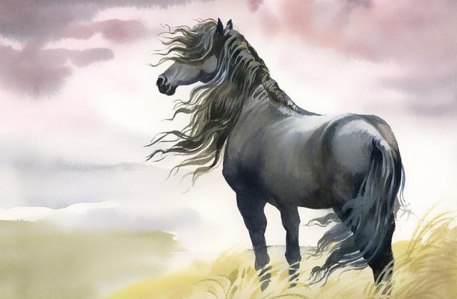 春风得意话生肖—揭秘马的寓意与文化 春风得意话生肖—揭秘马的寓意与文化