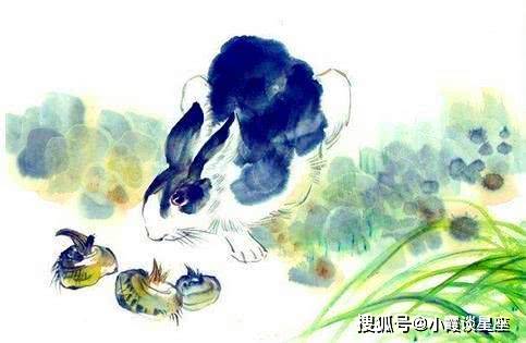 二全其美，生肖之谜与人生哲理的深度融合