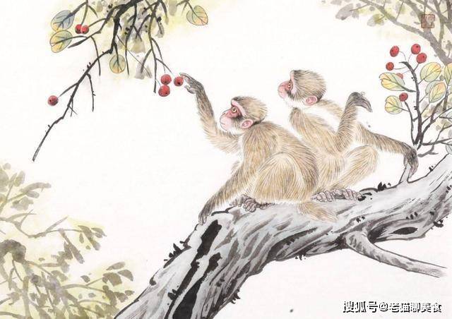 二八佳人与生肖之谜,积极解释与落实的智慧 二八佳人与生肖之谜,积极解释与落实的智慧