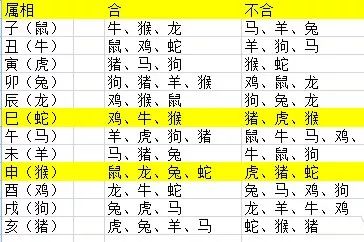 一八相冲打一生肖、非凡解释落实