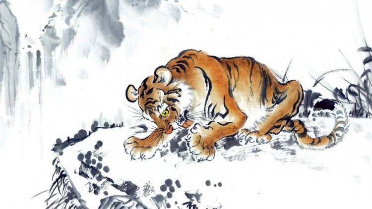 虎虎生威打一生肖、积极解释与落实的转变 虎虎生威打一生肖、积极解释与落实的转变