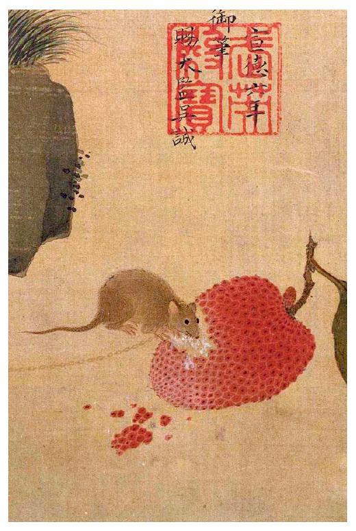 贼眉鼠眼打一生肖、团结解释落实