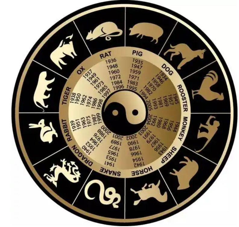 团结的力量，以是打一生肖为线索的生肖文化探索