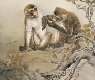 粗枝大叶打一生肖,探寻生肖背后的智慧与启示 粗枝大叶打一生肖,探寻生肖背后的智慧与启示