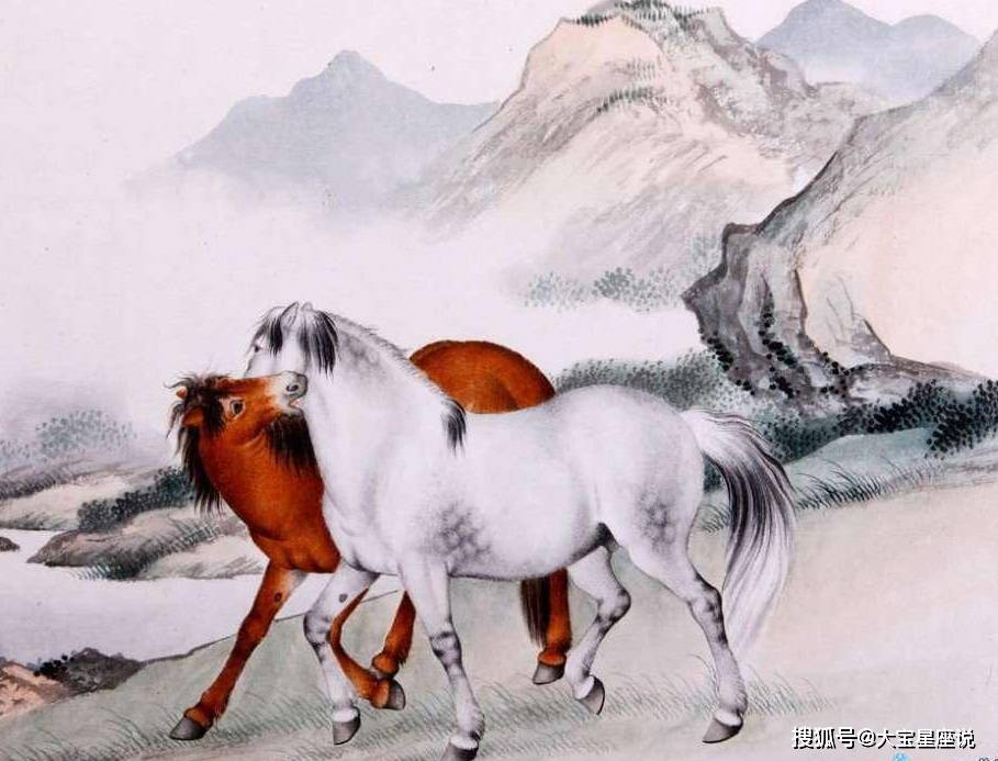 二十之前话生肖—探索马的和谐共舞