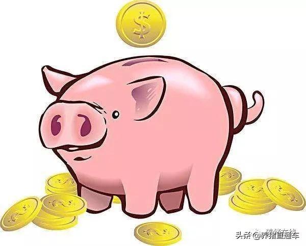 金狗与猪打一生肖、揭秘如何选择并落实正确的