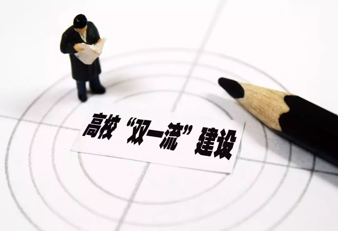 青帐之谜，生肖寻踪与激励行动的智慧