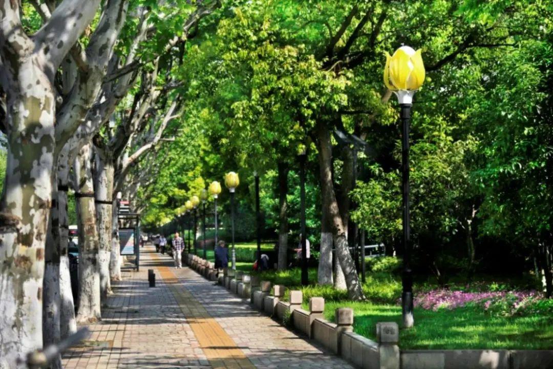 盖打一生肖、如何引领非凡解释落实