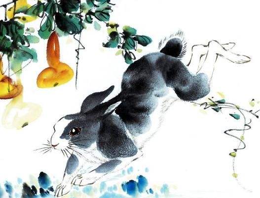 生吞活剥的智慧，积极作答，落实解释—以生肖为镜的启示