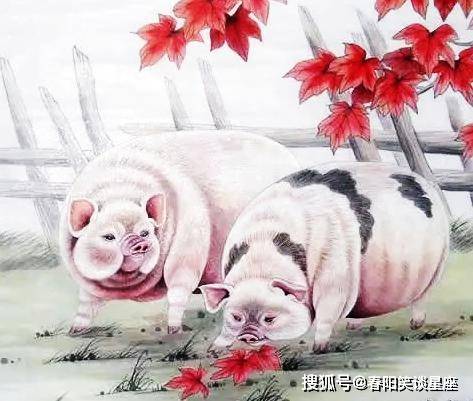 蠢头蠢脑打一生肖，揭秘背后的智慧与沉稳