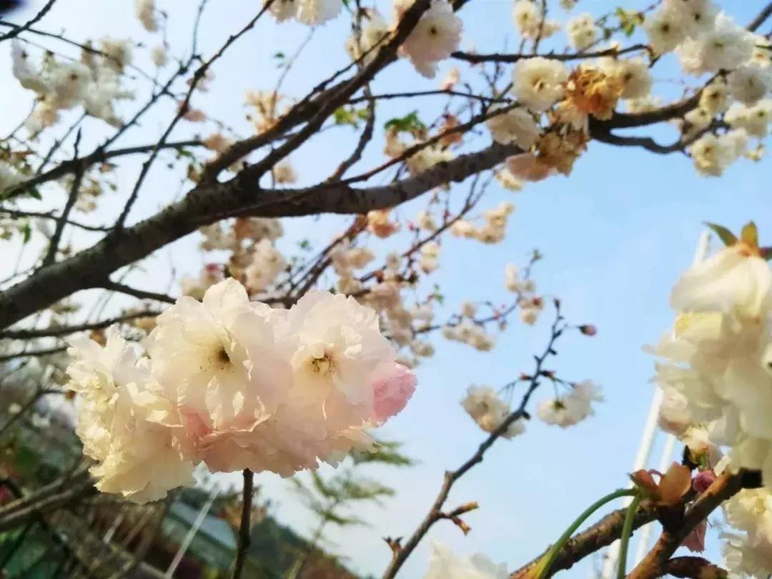 惜时如金,揭秘如何选择并落实正确的行动策略 惜时如金,揭秘如何选择并落实正确的行动策略