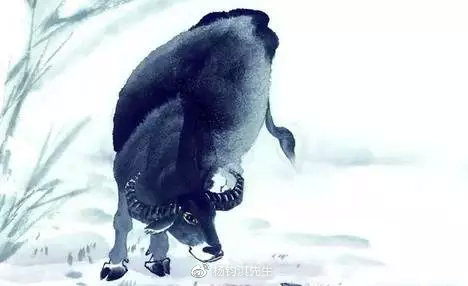 打一生肖，通用解释的落实与文化深意