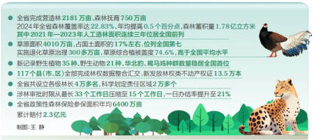 森林打一生肖、新型作答落实解释